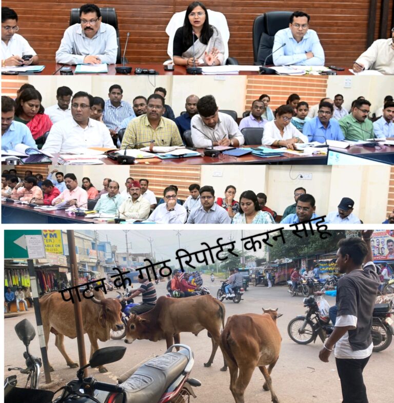 मुख्य सड़कों से पशुओं को हटाने गतिविधियां सतत् चलती रहे/कलेक्टर सुश्री चौधरी मुख्य सड़कों से पशुओं को हटाने गतिविधियां सतत् चलती रहे/कलेक्टर सुश्री चौधरी