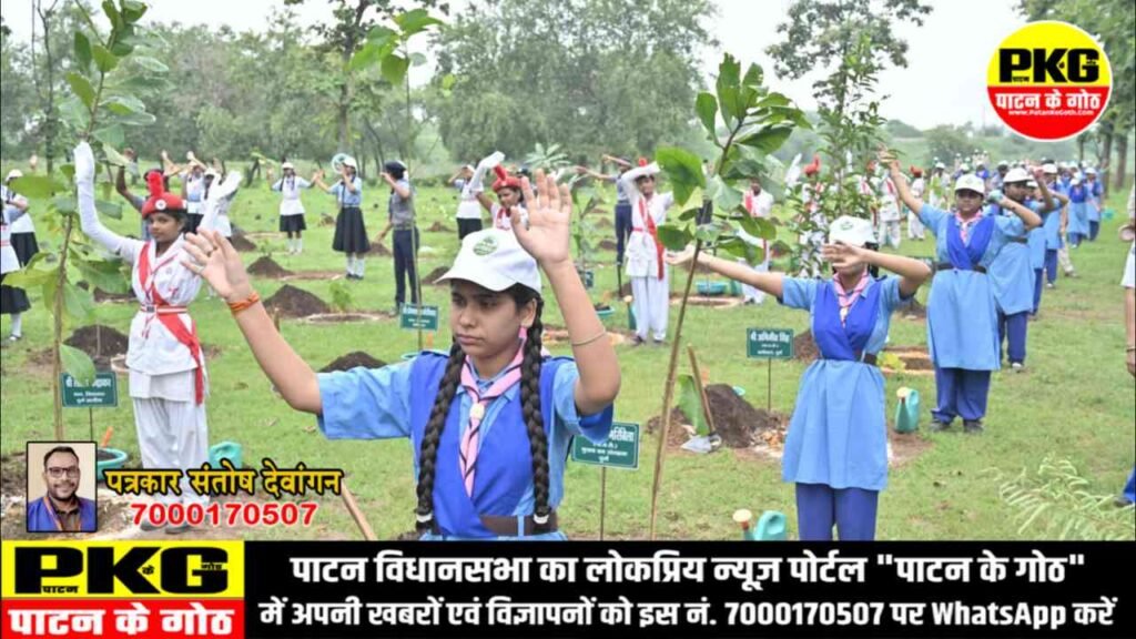 बोरसी भाठा में हुआ वन महोत्सव का आयोजन