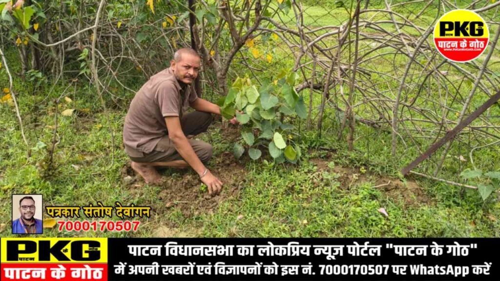 स्वर्गीय माया देवी एवं नरेंद्र बिजौरा की स्मृति में परिजनों ने लगाए पीपल एवं बरगद के पेड़